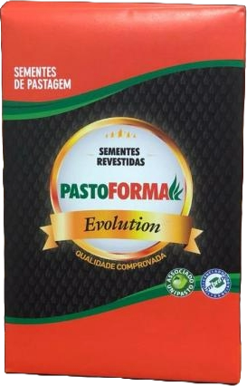 PASTOFORMA PF BRIZANTHA MARANDU VC80 TEC