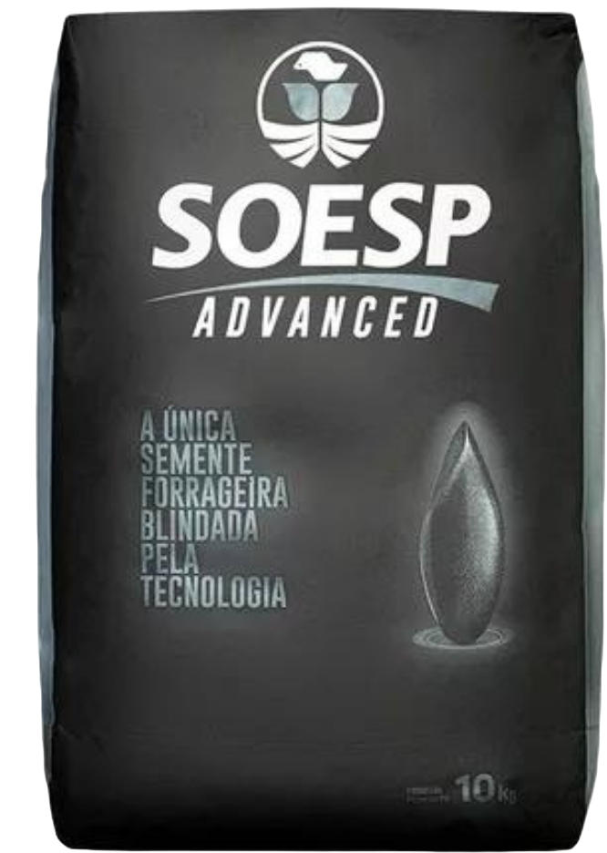 SOESP ARUANA (Advanced)